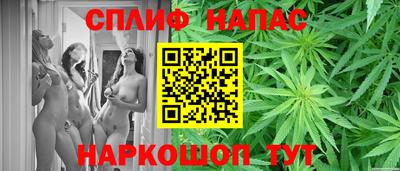 трава Аргун