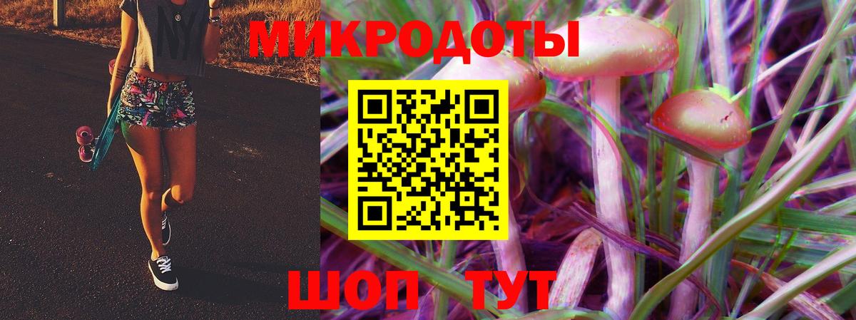 Псилоцибиновые грибы Psilocybe Рузаевка